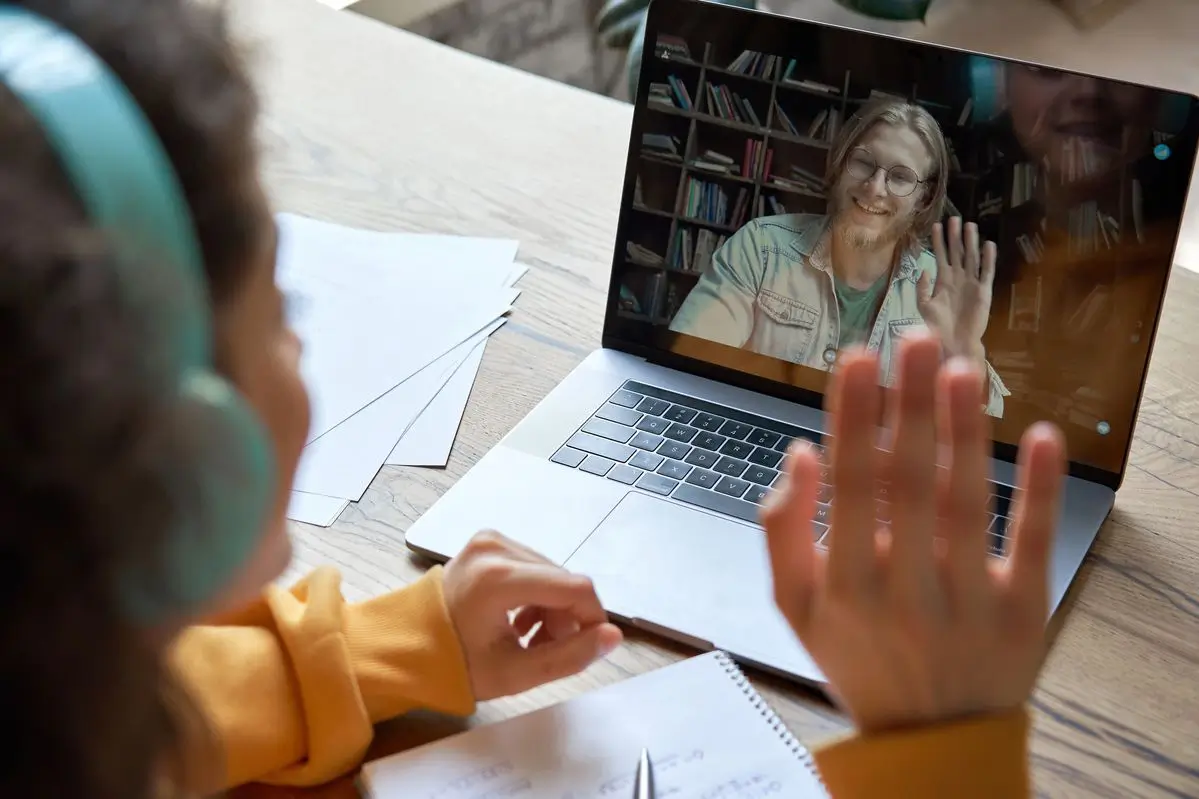 Student career guidance and online mentor session